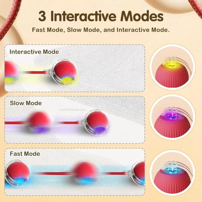 Interactive Self-Moving Cat Ball Toy